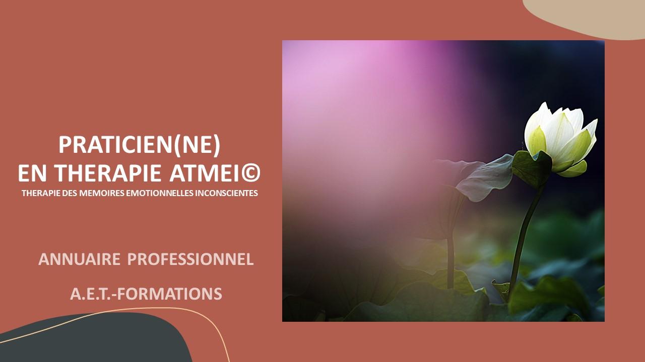 ANNUAIRE PRO ATMEI