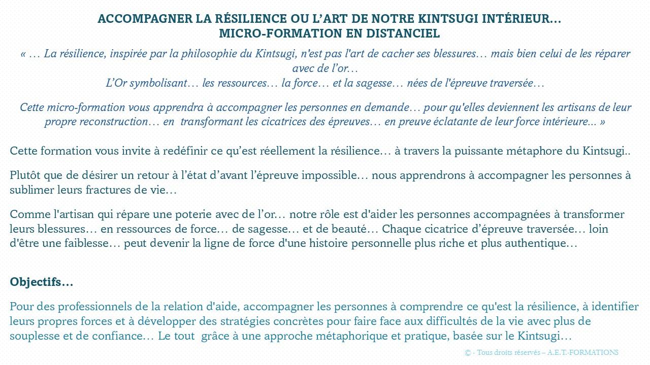 MF RÉSILIENCE ET KINTSUGI