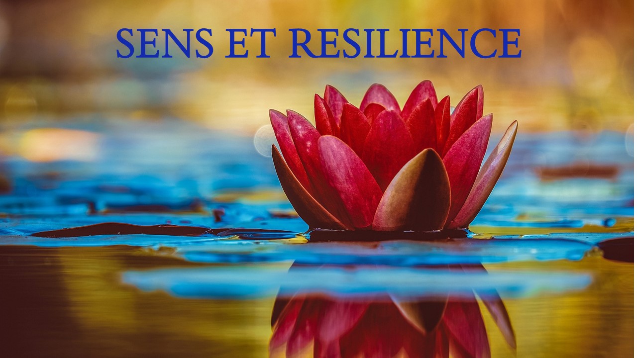 SENS ET RESILIENCE