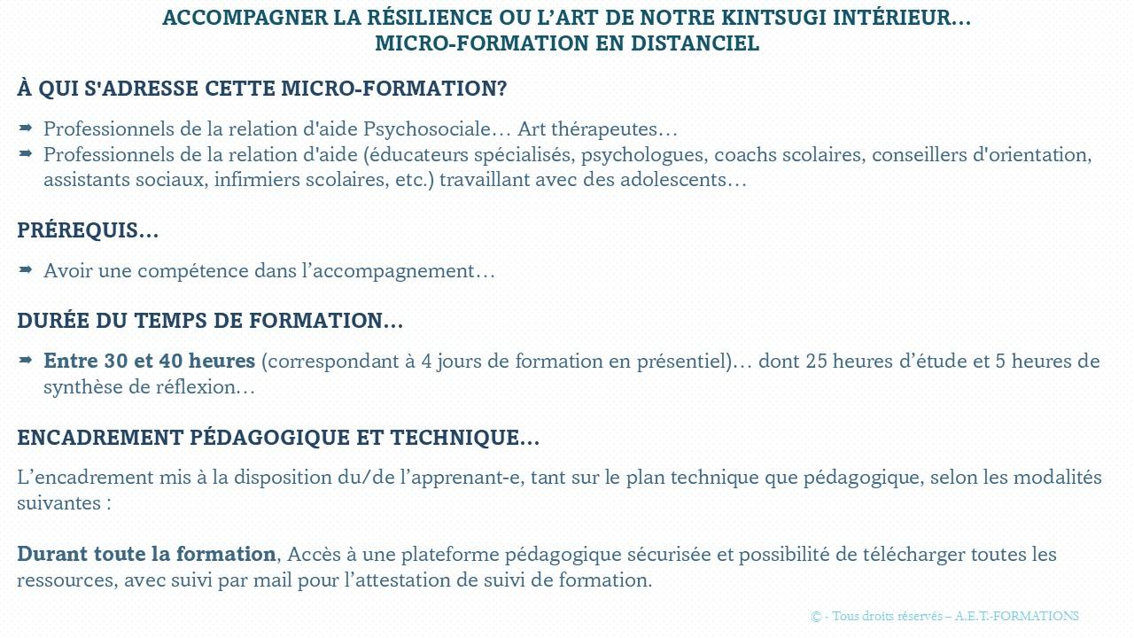MF RÉSILIENCE ET KINTSUGI 1