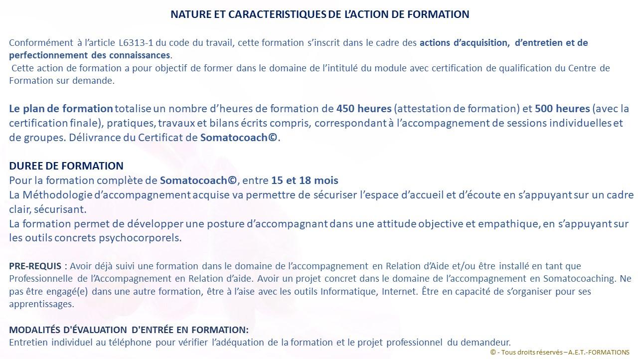 FORM SOMATO 2023 2