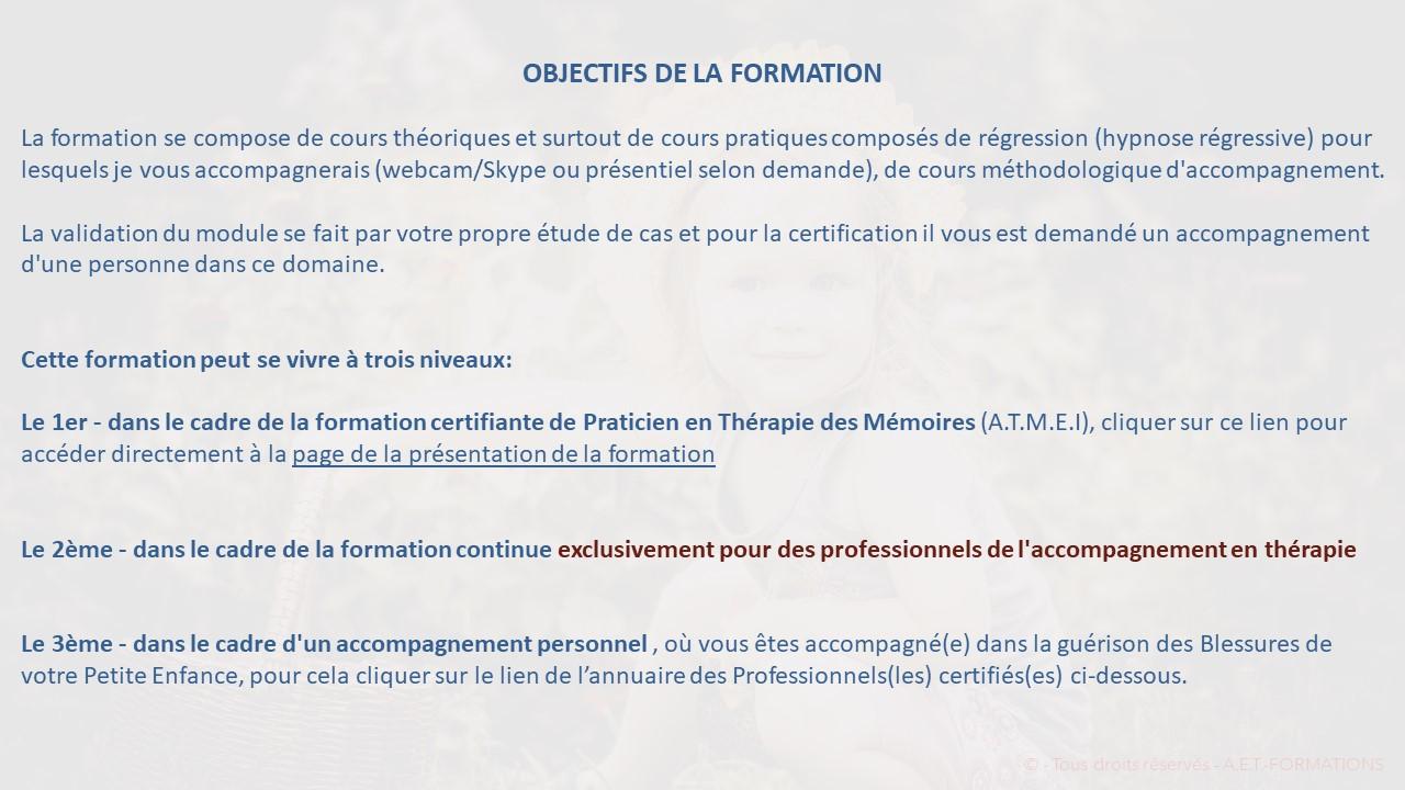 FORM PRAT ART THERAPIE 2020 2021 1