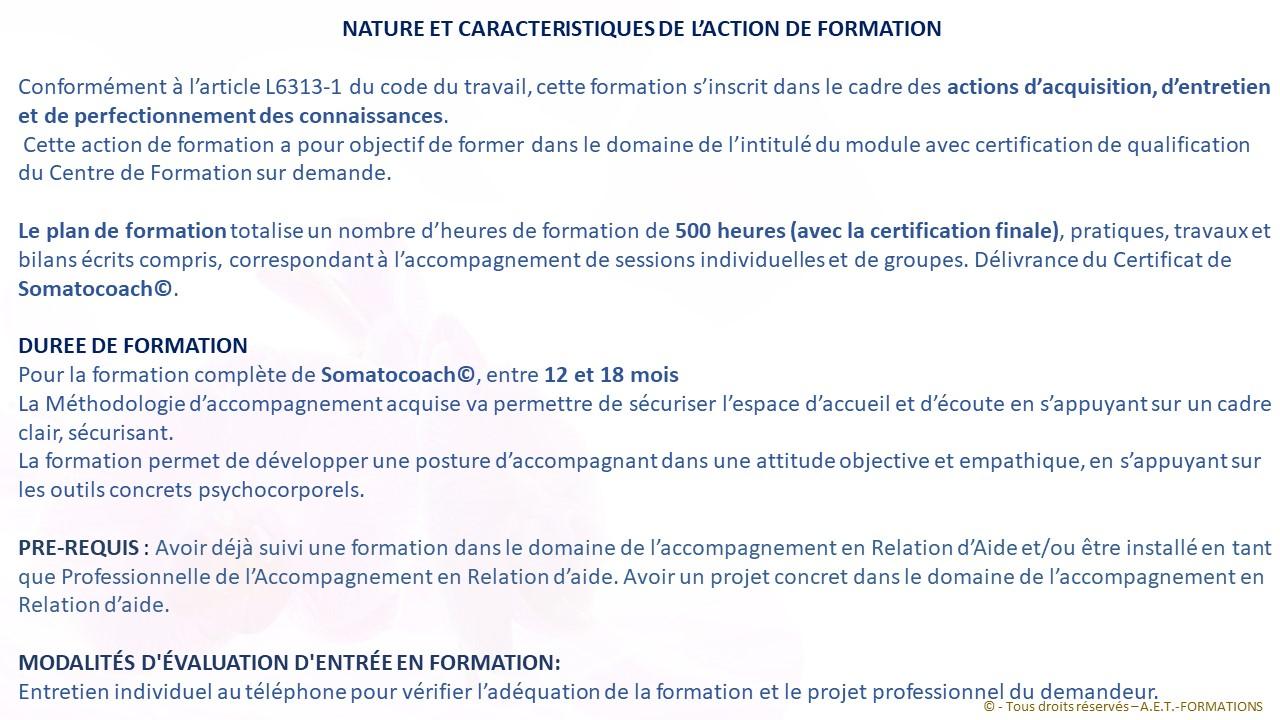 FORM SOMATO 1 2022