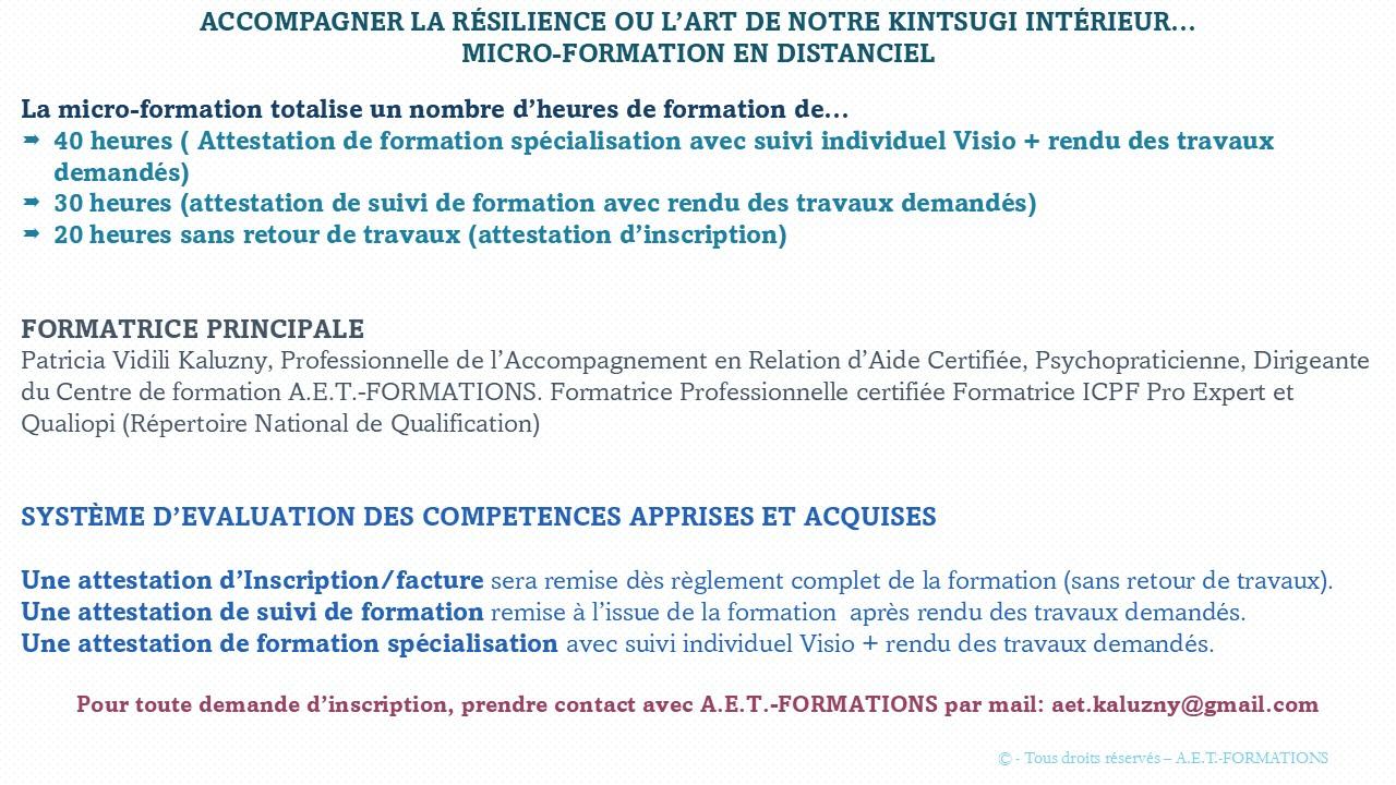 MF RÉSILIENCE ET KINTSUGI 2
