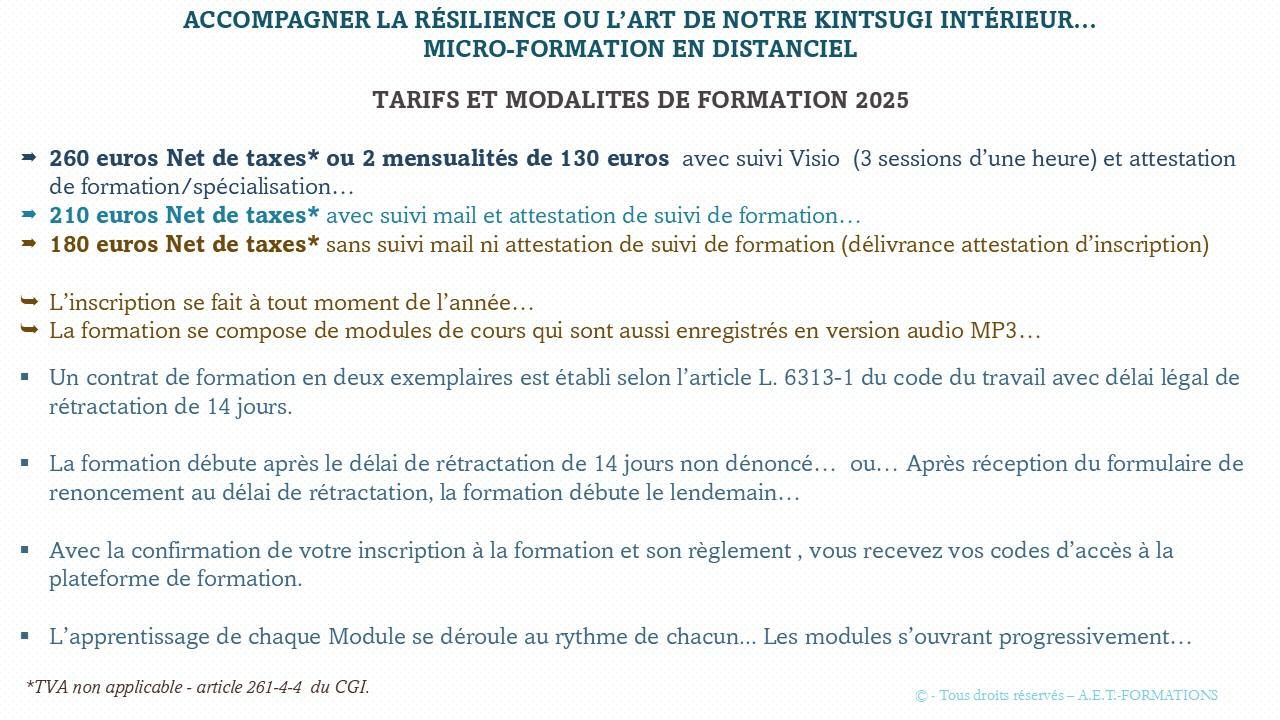 MF RÉSILIENCE ET KINTSUGI 3