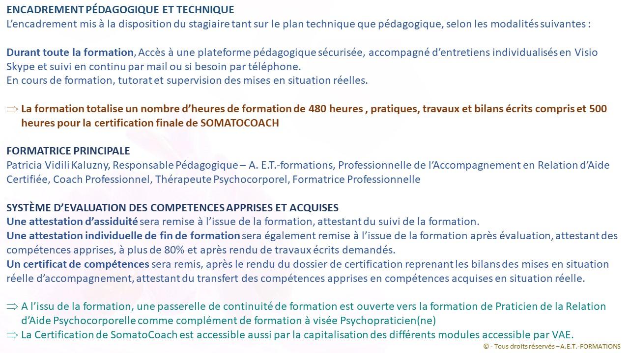 FORM SOMATO 3 2022