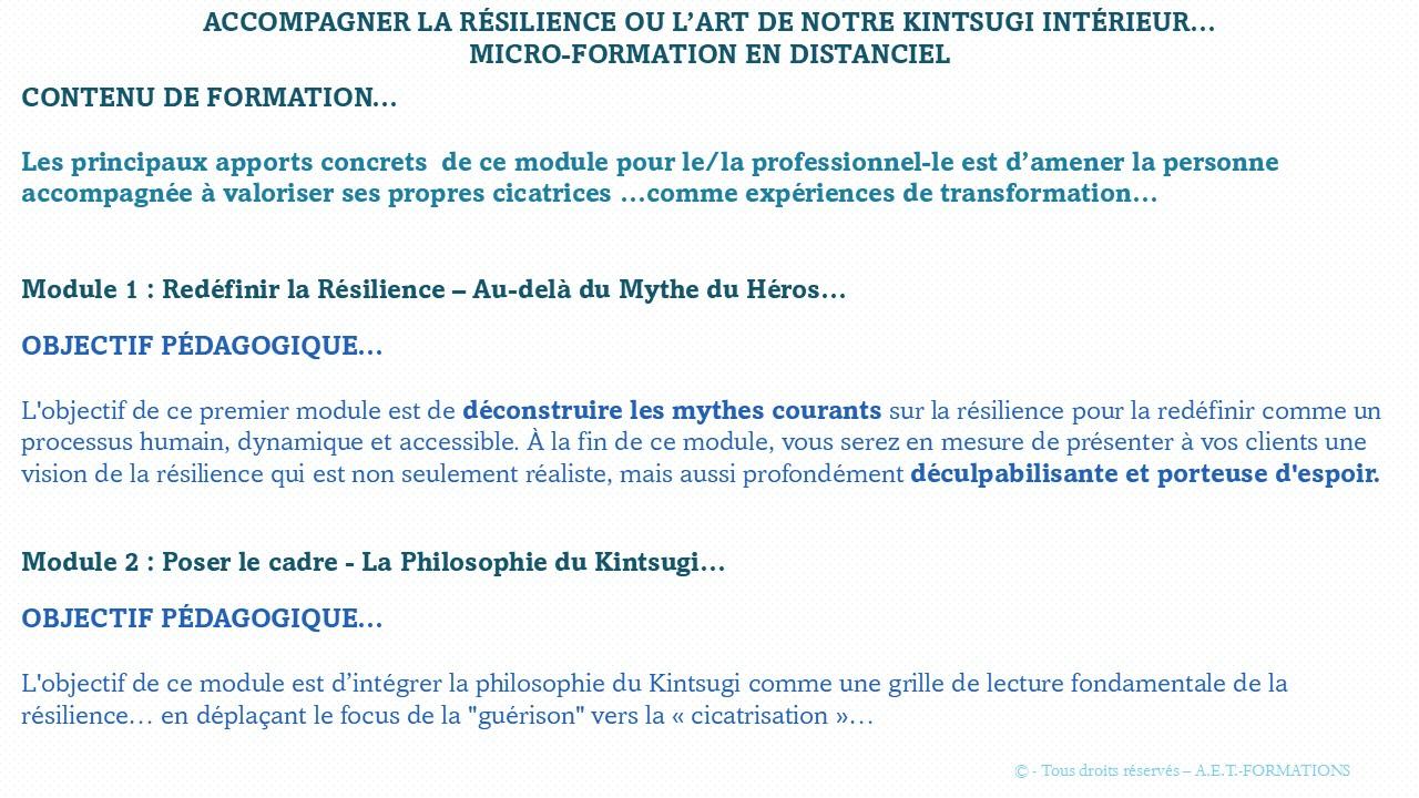 MF RÉSILIENCE ET KINTSUGI 4