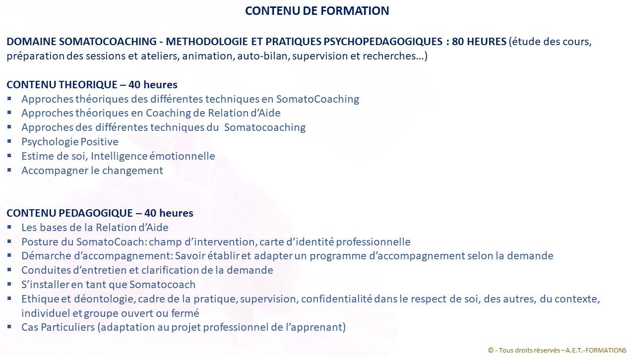 FORM SOMATO 5 2022