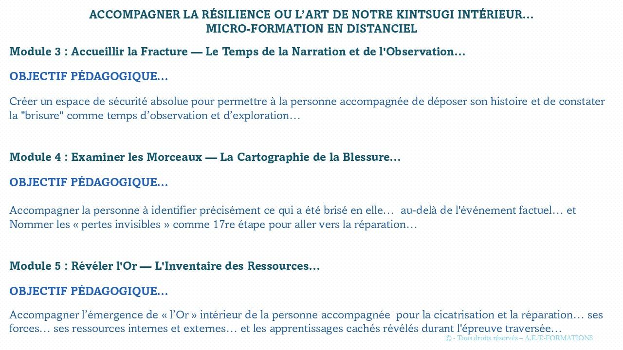 MF RÉSILIENCE ET KINTSUGI 5