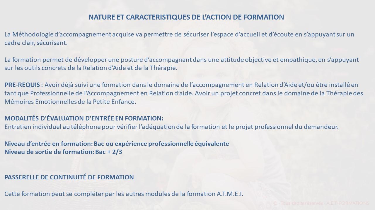 FORM PRAT ART THERAPIE 2020 2021 5
