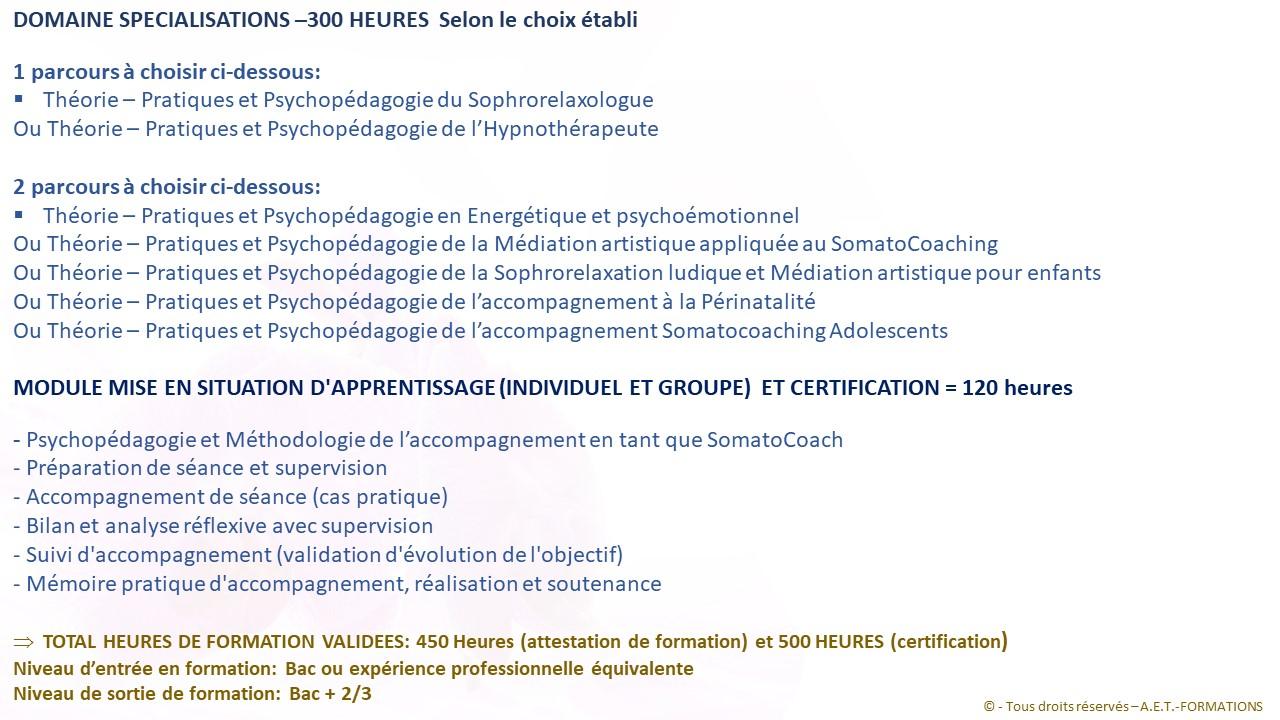 FORM SOMATO 2023 7