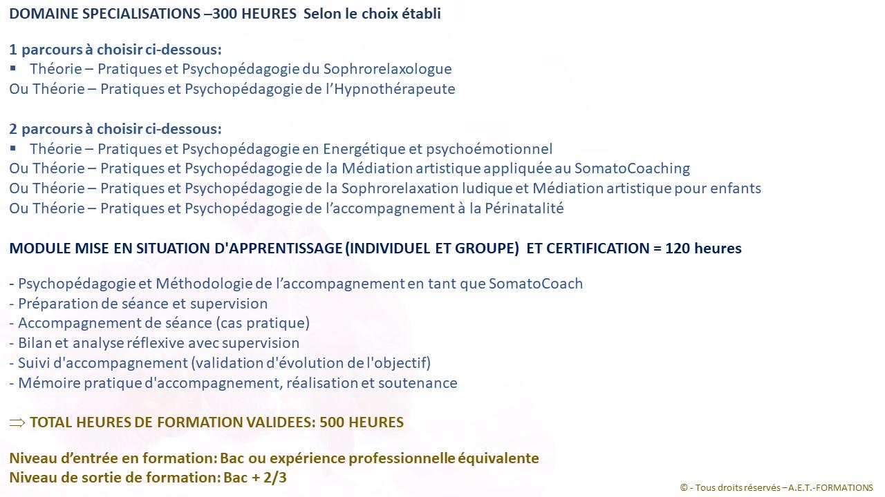 FORM SOMATO 6 2022