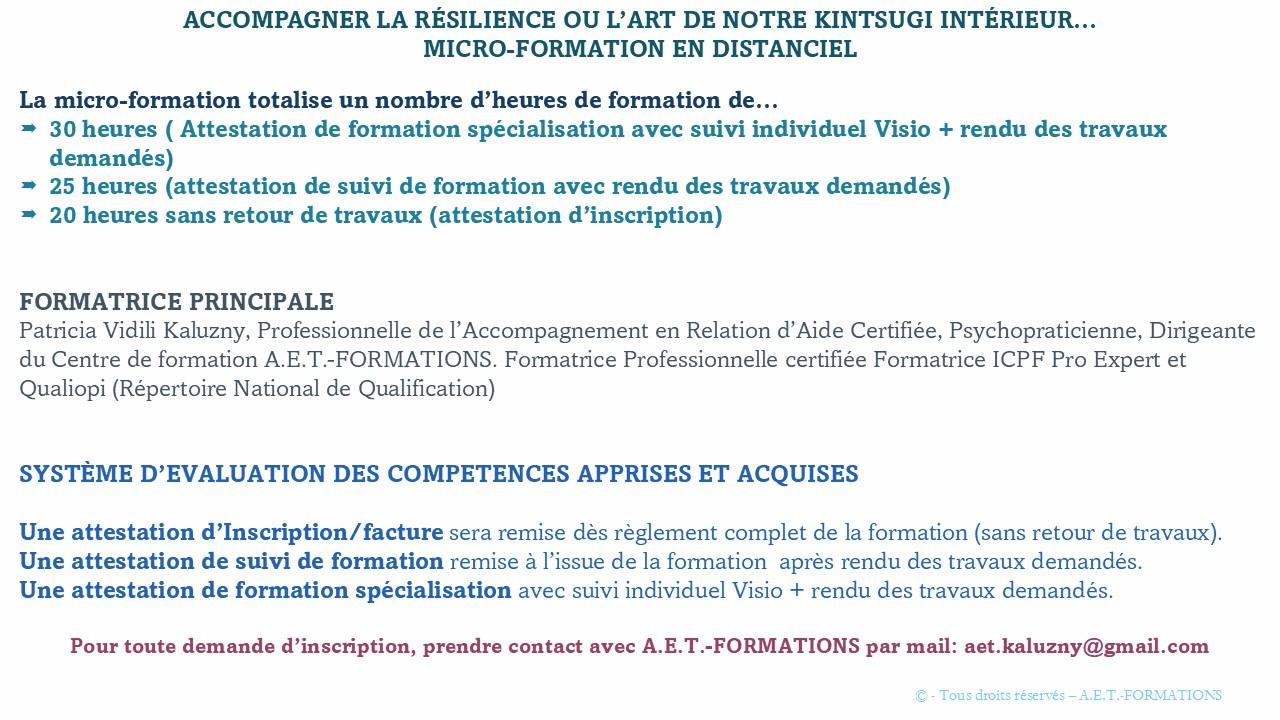 Formation courte accompagner la resilience 2