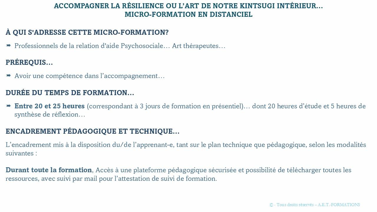 Formation courte accompagner la resilience 3